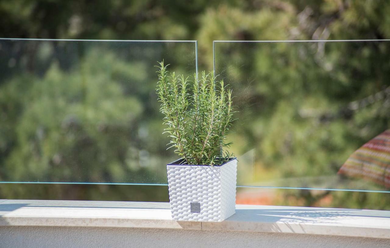 Luxury Apartments Novigrad Novigrad Istria 外观 照片